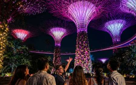 Excursão noturna nos Jardins da Baía com Cúpulas e Garden Rhapsody