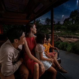 Singapura: Ingresso de entrada no Night Safari com passeio de bonde