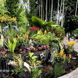Singapura: Ingresso no Jardim Nacional das Orquídeas