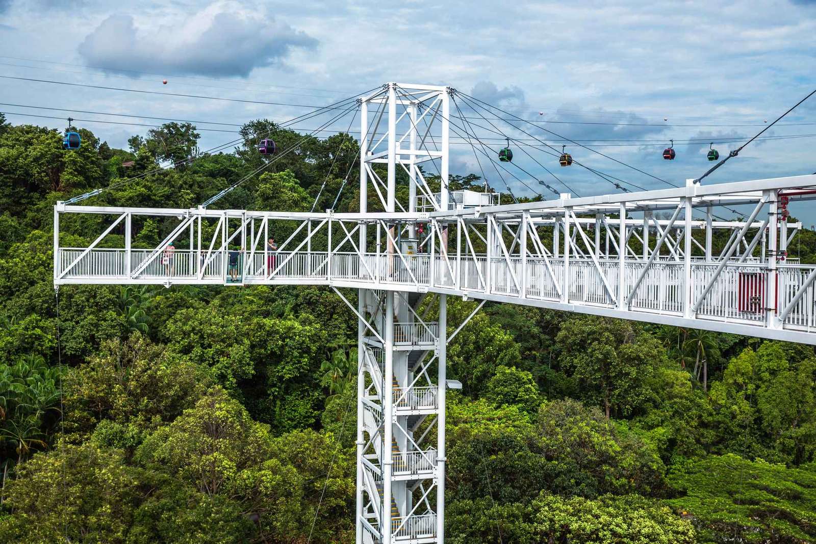 Singapura: Ingresso de entrada para o Skypark Sentosa e opções de atividades