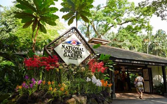 Cingapura: Ingressos para o National Orchid Garden