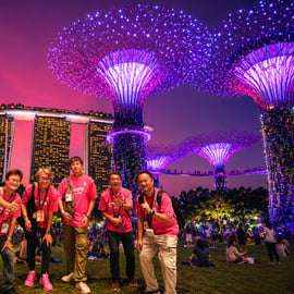 Cruzeiro pelo rio Singapura, Garden Rhapsody noturno e espetáculo Spectra
