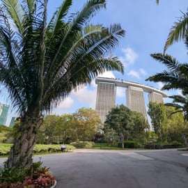 Jardins da Baía de Singapura: Caminhada pelas Superárvores e pela Floresta das Nuvens