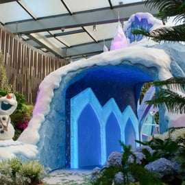 Singapura: combo de bilhetes de entrada para os Gardens by the Bay