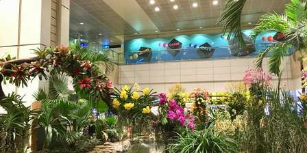 Aeroporto Changi de Cingapura