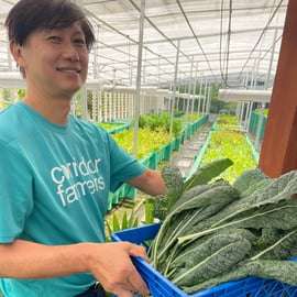 Singapura: Excursão Guiada de Bicicleta por Fazendas e Jardins Urbanos