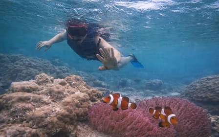De Singapura : Snorkeling privado na ilha de Batam e canoa