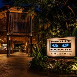 Singapura: Night Safari com Passeio de Bonde e Busca no Hotel