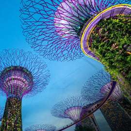 Passeio noturno pela Marina Bay de Singapura com o espetáculo Spectra & Rhapsody