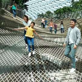 Singapura: Ingresso direto para o Aeroporto Jewel Changi