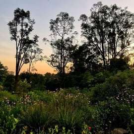 Excursão a pé pelo Jardim Botânico e Tiong Bahru com café da manhã