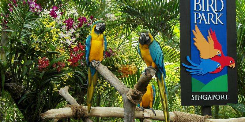 Parque das Aves de Jurong