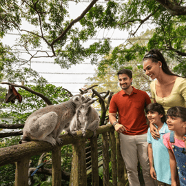 Zoológico de Singapura: ingresso digital de 1 dia com passeio de bonde
