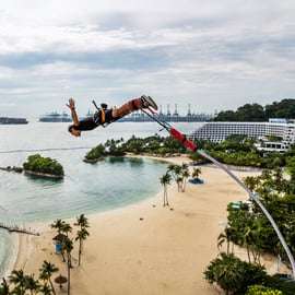 Singapura: Ingresso de entrada para o Skypark Sentosa e opções de atividades