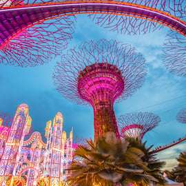 Cingapura: Ingresso eletrônico para o Gardens by the Bay