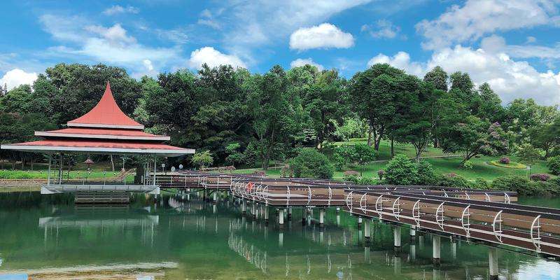 MacRitchie Reservoir Park