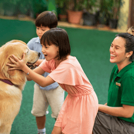 Zoológico de Singapura: ingresso digital de 1 dia com passeio de bonde