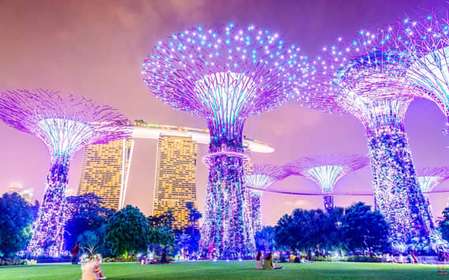 Cruzeiro pelo rio Singapura, Garden Rhapsody noturno e espetáculo Spectra