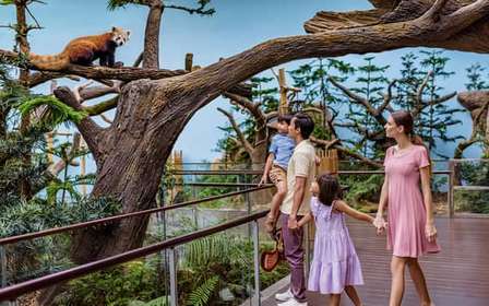 Singapura: ingresso de entrada para o River Wonders