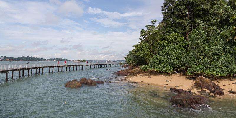 Chek Jawa Wetlands