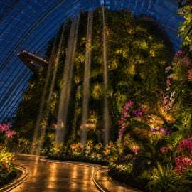 Excursão noturna nos Jardins da Baía com Cúpulas e Garden Rhapsody
