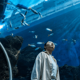 Singapura: Ingresso de entrada para o Oceanário de Singapura