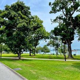 Singapura: Excursão de Bicicleta com Pôr do Sol e Comida