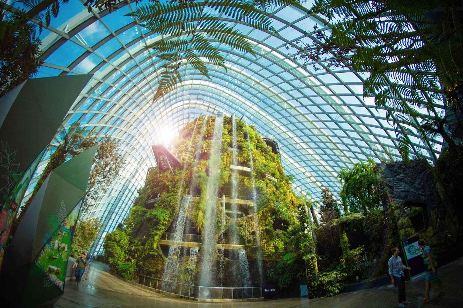 Cingapura: Ingresso eletrônico para o Gardens by the Bay