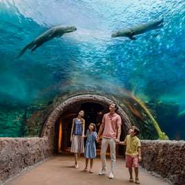 Singapura: ingresso de entrada para o River Wonders