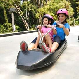 Cingapura: Ingressos para Skyline Luge Sentosa