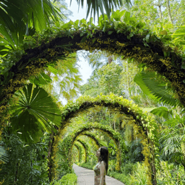 Ingresso para o Jardim de Orquídeas de Singapura: Passe Patrimônio da UNESCO