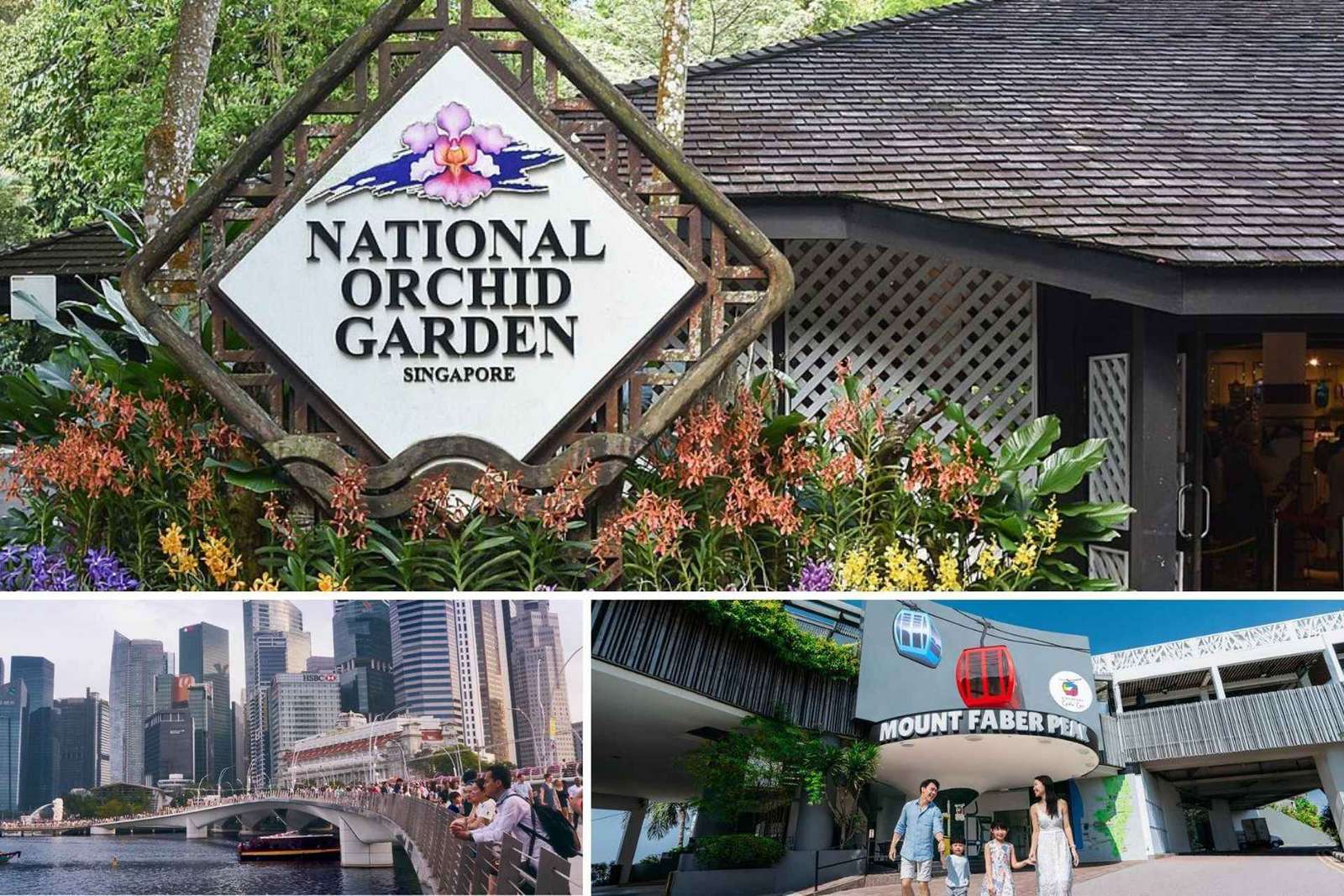 Passeio guiado de meio dia com visita ao Jardim Nacional de Orquídeas