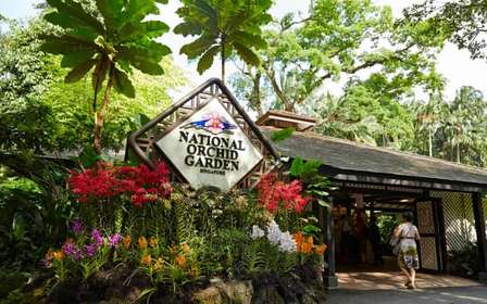 Cingapura: Ingressos para o National Orchid Garden