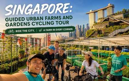 Singapura: Excursão Guiada de Bicicleta por Fazendas e Jardins Urbanos