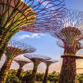 Singapura: Ingresso para os Jardins da Baía