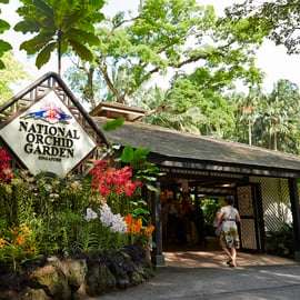Singapura: Ingresso no Jardim Nacional das Orquídeas