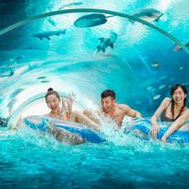 Singapura: Ingresso para o parque aquático Adventure Cove