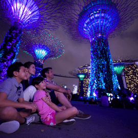 Singapore Twilights com cruzeiro fluvial e shows de luzes