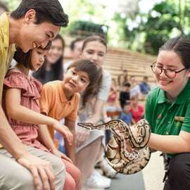 Singapura: ingresso de entrada no zoológico, passeio de bonde e transfer do hotel