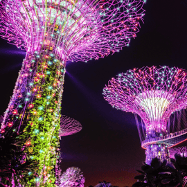 Singapore Gardens by the Bay com ingresso e recolha