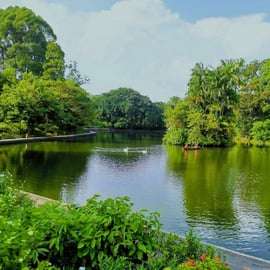 Excursão a pé pelo Jardim Botânico e Tiong Bahru com café da manhã
