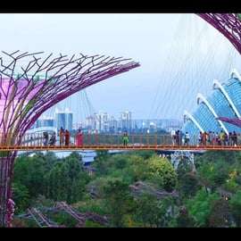 Gardens by the Bay – OCBC Skyway, Cúpula das Flores e Floresta das Nuvens