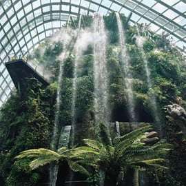 Singapura: Ingresso para Cúpula das Flores + Floresta das Nuvens