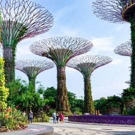 O melhor de Singapura: Excursão a pé particular com um local