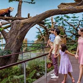 Singapura: ingresso de entrada para o River Wonders