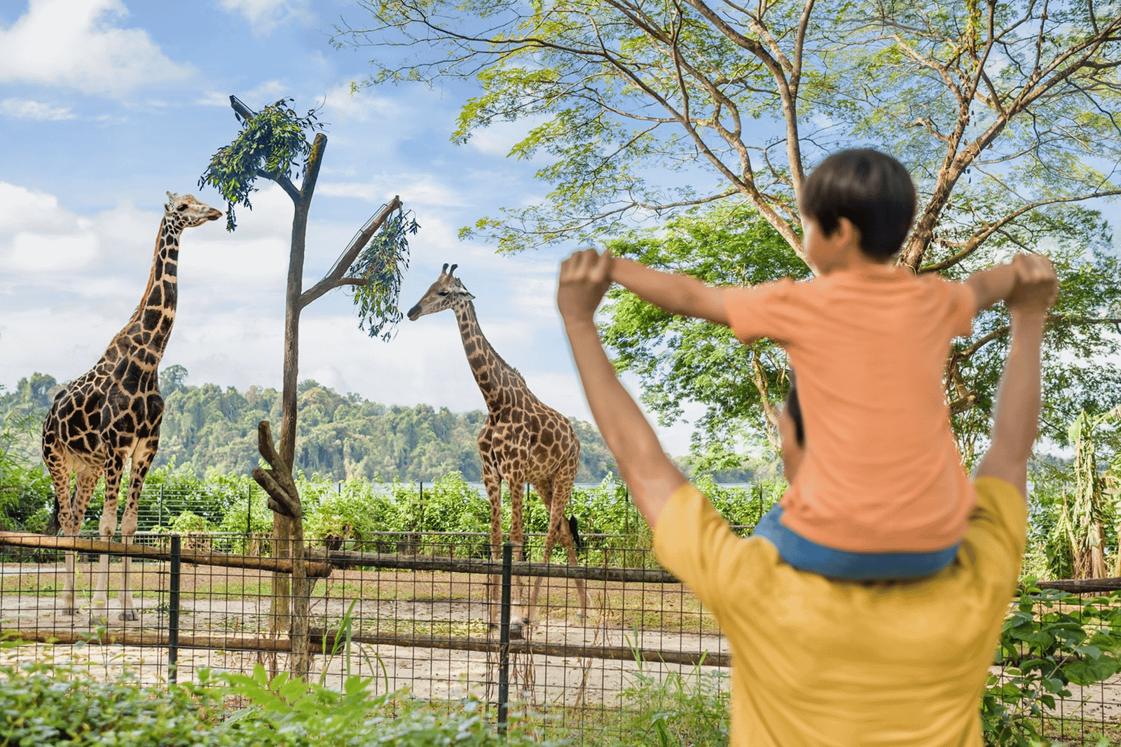 Zoológico de Singapura: ingresso digital de 1 dia com passeio de bonde
