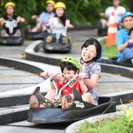 Cingapura: Ingressos para Skyline Luge Sentosa