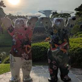 Jardins da Baía de Singapura: Caminhada pelas Superárvores e pela Floresta das Nuvens