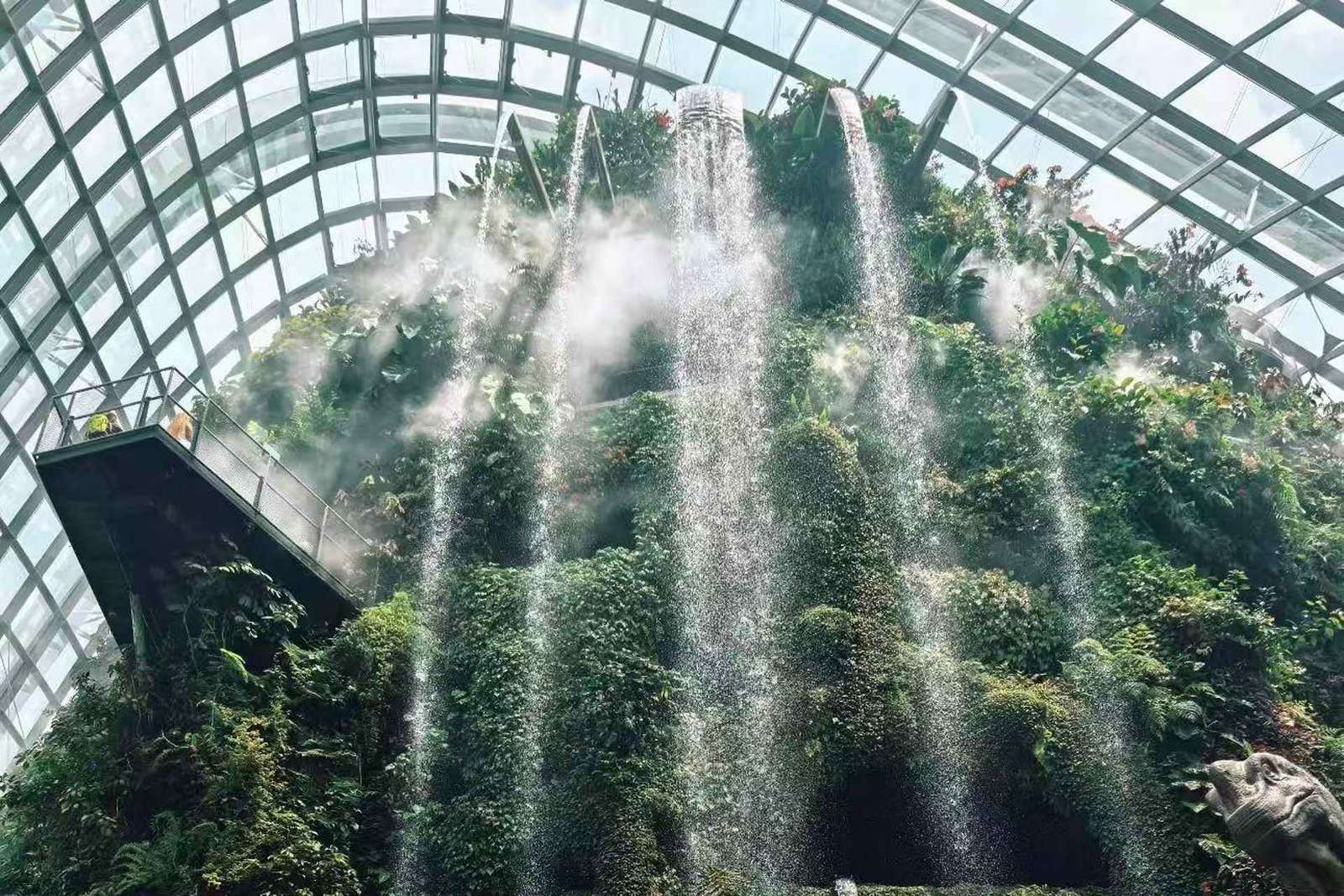 Singapura: Ingresso para Cúpula das Flores + Floresta das Nuvens