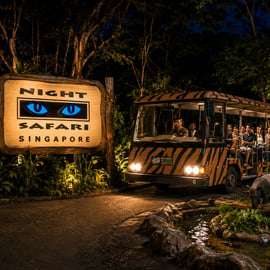 Singapura: Night Safari com Passeio de Bonde e Traslados de Hotel